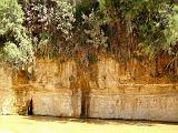 TAMERZA 1
